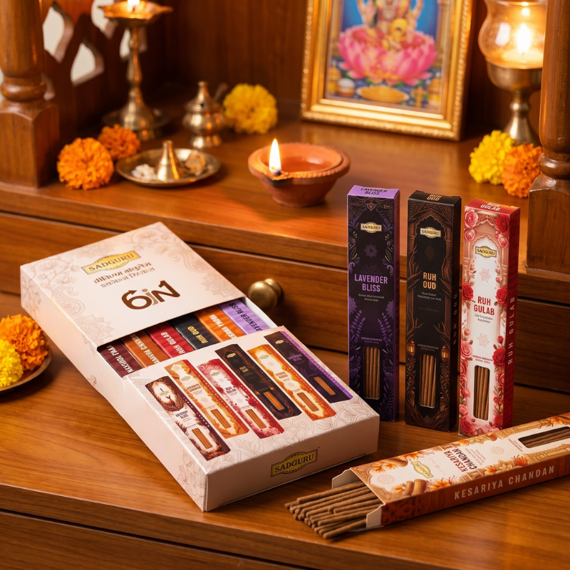 6-in-1 Bambooless Incense Combo (8" – 600g)